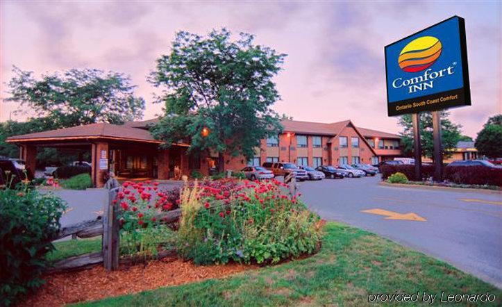 Comfort Inn Simcoe Exterior photo